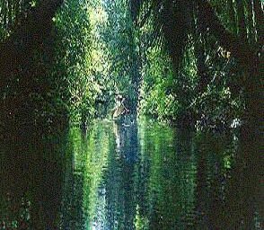 Wekiva River